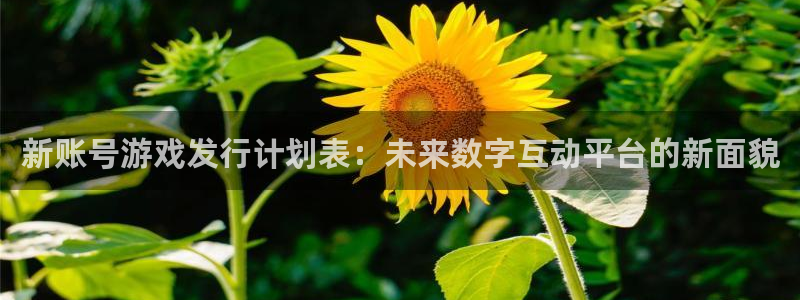 法国im电竞lvnces是奢侈品吗：新账号游戏发行计划表：未来数字互动平台的新面貌