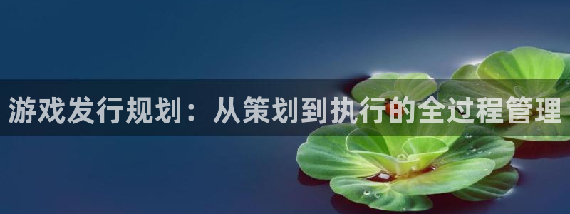 im电竞香烟图片：游戏发行规划：从策划到执行的全过程管理