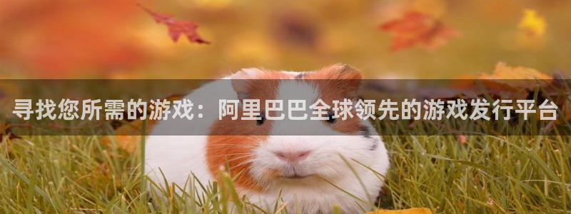 im电竞子文化有什么游戏：寻找您所需的游戏：阿里巴巴全球领先的游戏发行平台