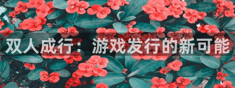 im电竞子集团：双人成行：游戏发行的新可能