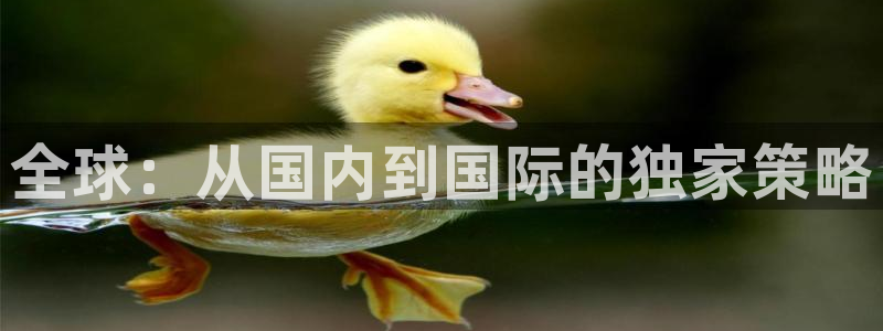 im电竞子怎么样：全球：从国内到国际的独家策略
