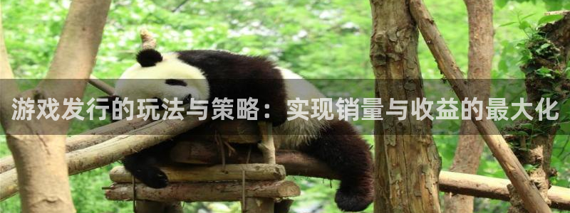 im电竞官网登录注册不了账号：游戏发行的玩法与策略：实现销量与收益的最大化
