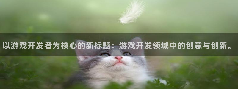 im电竞官网登录注册不了账号：以游戏开发者为核心的新标题：游戏开发领域中的创意与创新。