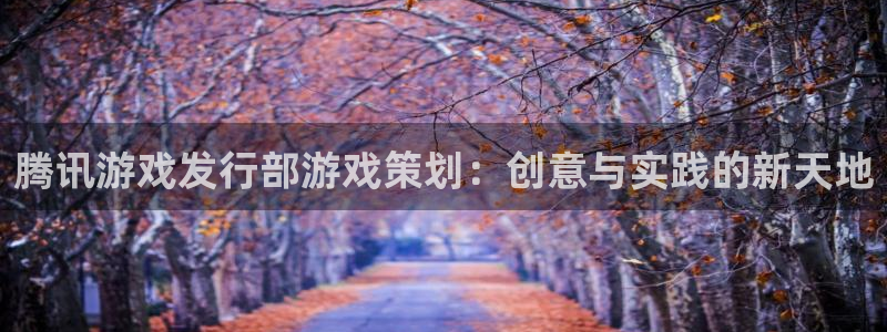 im电竞防水的质量怎么样：腾讯游戏发行部游戏策划：创意与实践的新天地