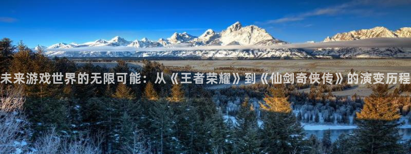 im电竞官网客服怎么样：未来游戏世界的无限可能：从《王者荣耀》到《仙剑奇侠传》的演变历程