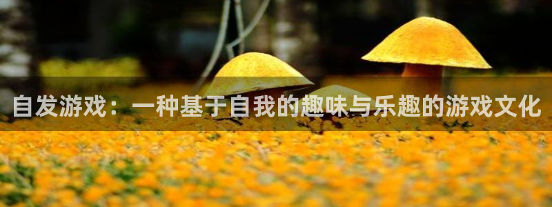 im电竞子教育科技(江门)有限公司：自发游戏：一种基于自我的趣味与乐趣的游戏文化