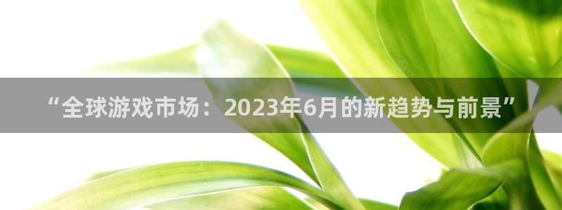 im电竞官网注册登录失败：“全球游戏市场：2023年6月的新趋势与前景”