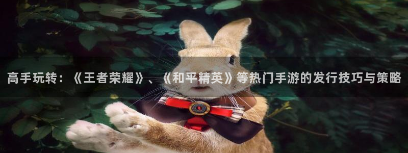 im电竞涂料(北京)有限公司：高手玩转：《王者荣耀》、《和平精英》等热门手游的发行技巧与策略