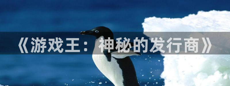 im电竞官网代理开号平台