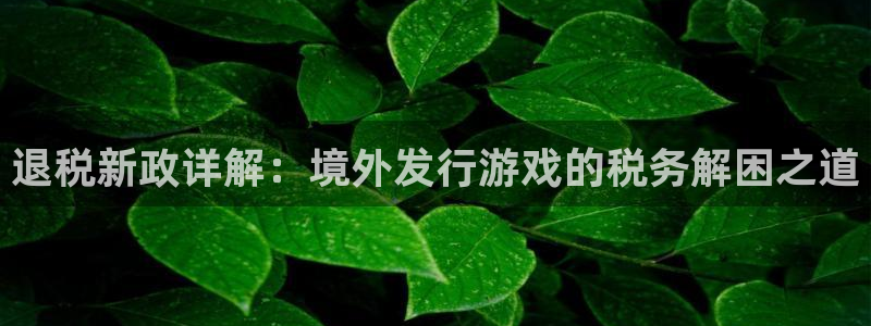 im电竞官网登录注册失败：退税新政详解：境外发行游戏的税务解困之道