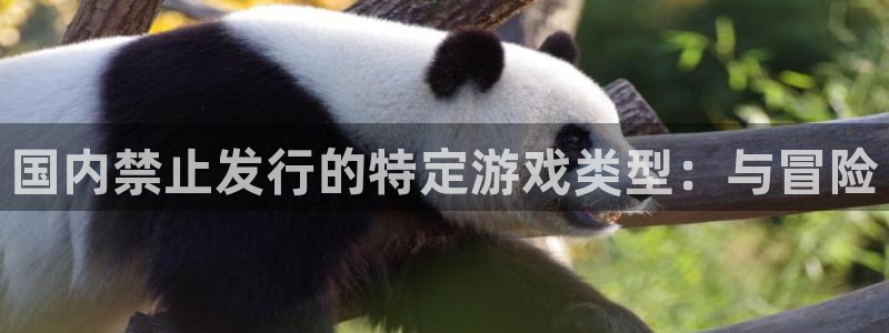 im电竞logo片头米高梅狮子：国内禁止发行的特定游戏类型：与冒险